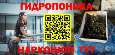гашик Канаш