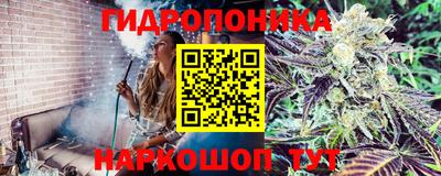 гашик Канаш