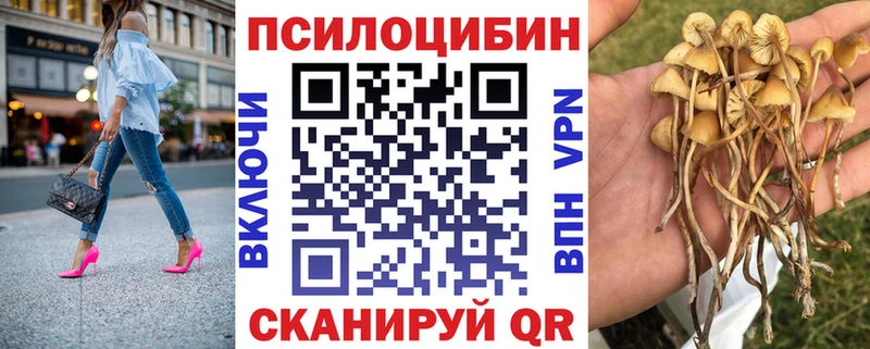 Псилоцибиновые грибы мухоморы  купить  сайты  Муром 