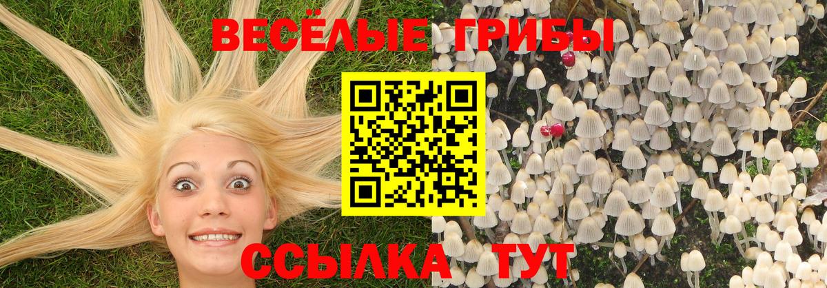Галлюциногенные грибы Magic Shrooms  Галлюциногенные грибы Psilocybe  Муром  Вход с VPN 