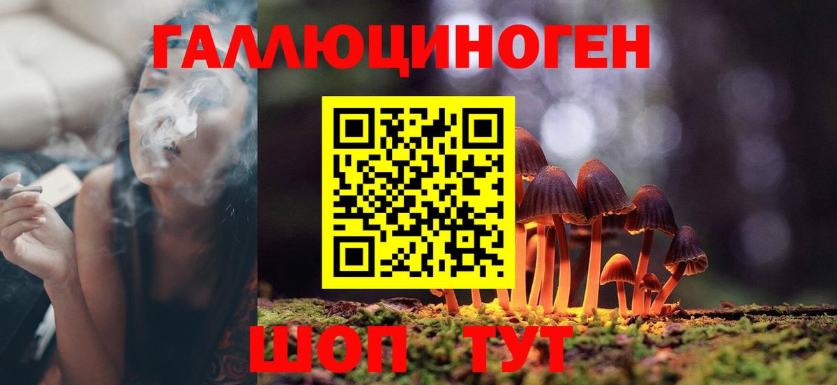 Псилоцибиновые грибы мицелий Муром